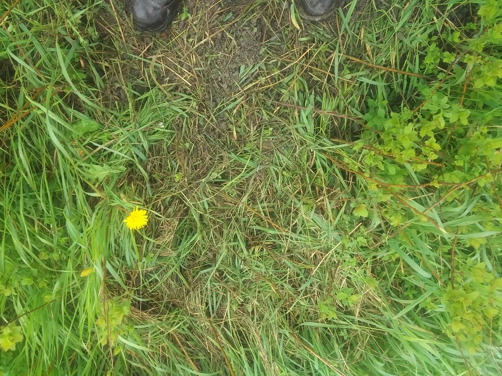 Christopher Greaves SecondEssays_20240606_101857.jpg